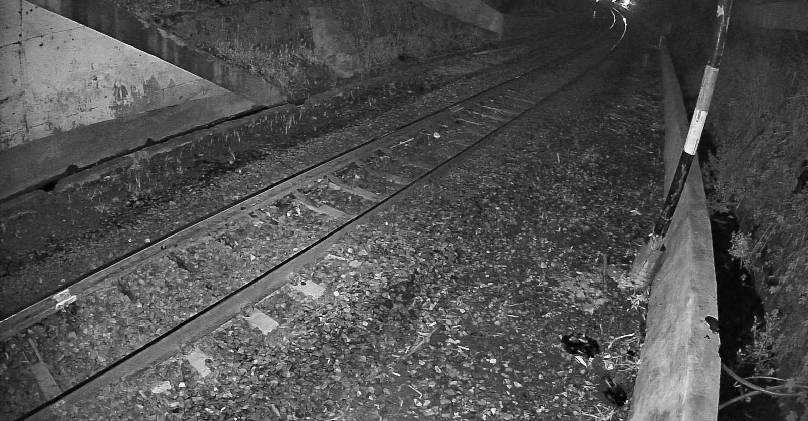 2026-04-24 20:35:25.jpg